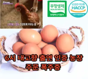 [당일산란계란] 마미템 무항생제 방사 계란 30구 초란 유정란, 1개