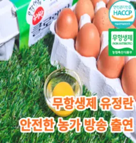 [면역력증진계란] 마미템 클로렐라 무항생제 방사 계란 30구 유정란, 15구, 4개