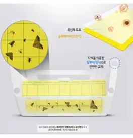 스카이원 글루페이퍼 스카이에프 소모품 끈끈이, 10매