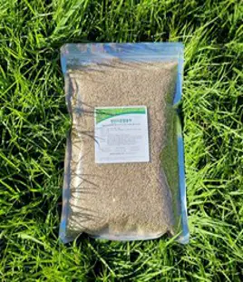 [진공포장] 양잔디혼합종자 1kg (약10평) 천연잔디씨앗, 양잔디혼합종자(1kg), 1개