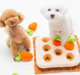 바니네 당근밭 노즈워크, 1개