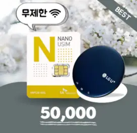 [데이타팡] SKT 휴대용 와이파이 30일 60GB 무제한 구매(평일기준 오후3시까지주문시 당일발송), 데이타추가