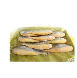 부세조기 3.4kg내외 (9미12미), 12미