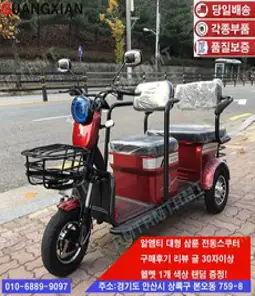 알엠티 KC인증 삼륜 당일배송 전동스쿠터 할인행사 노인 3륜 부모선물 RMT20AH02, 레드, 20~30키로, 3A