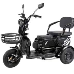 Montheria 삼륜스쿠터 전기자전거 노인 전기바이크 A598-153, 60V20AH-50KM, 블랙