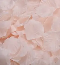 파티복닷컴 파티용 장미꽃잎, 샴페인, 500개입