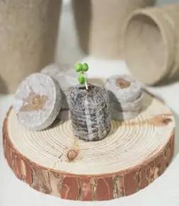 갑조네 지피펠렛 33mm, 50개