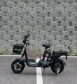 전동 전기스쿠터 타이탄500 48V, 13ah+페달