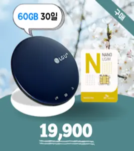 [데이타팡] SKT 휴대용 와이파이 30일 60GB 무제한 구매(평일기준 오후3시까지주문시 당일발송), 데이타추가