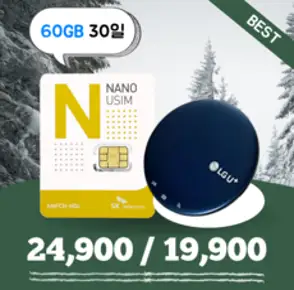 [데이타팡] SKT 휴대용 와이파이 30일 60GB 무제한(평일기준 오후3시까지 주문시 당일발송), 처음이용