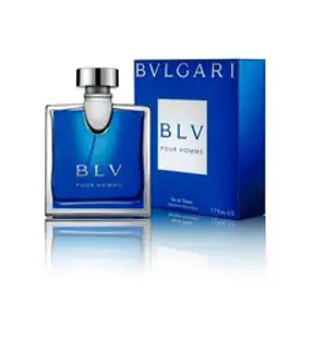 불가리 블루 옴므 오 드 뚜왈렛, 100ml, 1개