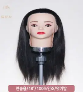 천혜사 두상 민두 민머리 마네킹 덧가발용 미용학원 연습용, 1개, 혼합색상
