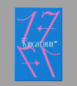 세븐틴 - SEVENTEEN BEST ALBUM '17 IS RIGHT HERE' DEAR Ver + 하드커버 바인더 랜덤발송 + 북클릿 세트 랜덤발송 + 가사지 + 포토카드 4p 랜덤발송 + 아웃박스 세트, 2CD