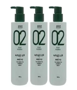 아모스 녹차실감 지성두피 프레쉬 샴푸, 500g, 2개