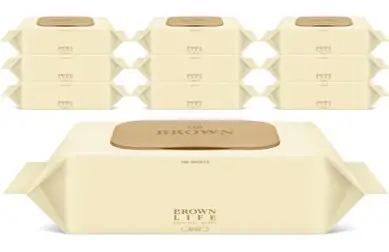 브라운 라이프 베이지 엠보싱 대용량 아기물티슈 캡형 50평량, 50g, 100개입, 10개