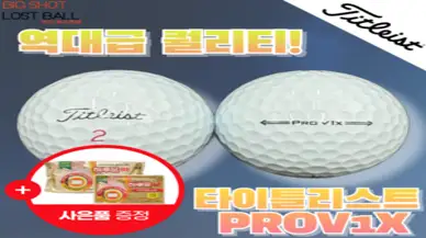 [방한용 핫팩 증정] 타이틀리스트 PROV1X 4피스 S~A급 30개 비교불가 깨끗한 정품 로스트볼!, 화이트, 1개, 30개입